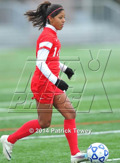 Thumbnail 1 in North Rockland vs. Massapequa (NYSPHSAA Class AA Final) photogallery.
