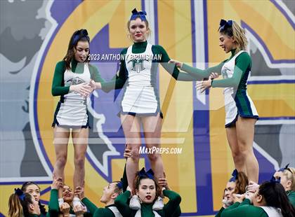 Thumbnail 3 in El Diamante - CIF Northern Regional Cheer Championships photogallery.