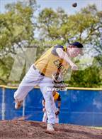 Photo from the gallery "Del Oro @ Del Campo"
