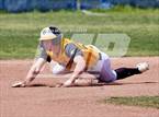 Photo from the gallery "Del Oro @ Del Campo"
