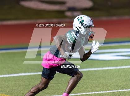 Thumbnail 2 in Lake Creek @ Rudder photogallery.