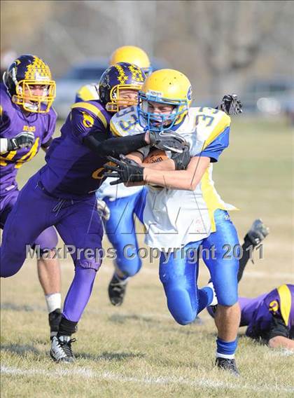 Thumbnail 1 in Clayton @ Frederic (WIAA Level 3 Playoffs) photogallery.