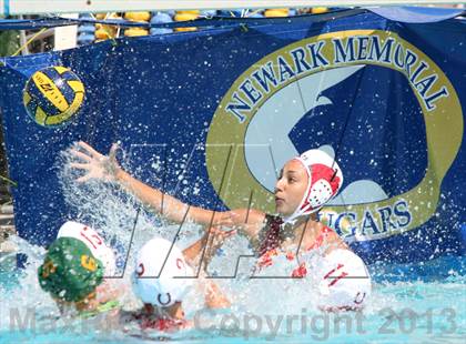 Thumbnail 3 in Livermore vs Logan (Newark Memorial HS Cougar Tournament) photogallery.
