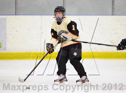 Thumbnail 1 in Ridgefield vs. Xavier (Carrano Cup Quarterfinal) photogallery.
