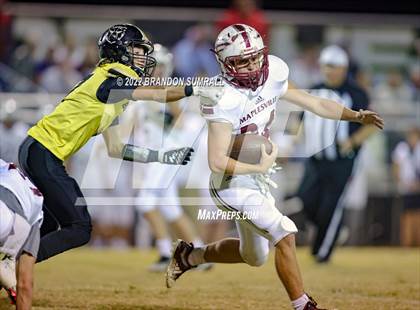 Thumbnail 2 in Maplesville @ Billingsley photogallery.