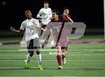 Thumbnail 1 in Plano West @ Princeton JV1 photogallery.