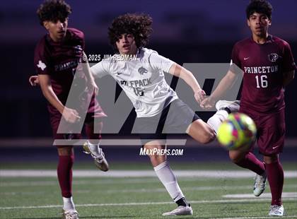 Thumbnail 2 in Plano West @ Princeton JV1 photogallery.