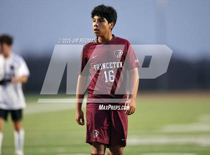 Thumbnail 2 in Plano West @ Princeton JV1 photogallery.