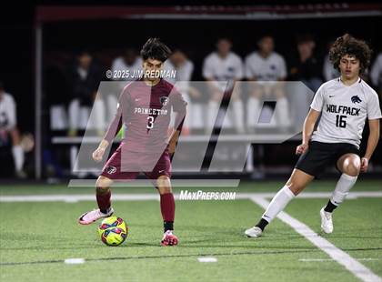 Thumbnail 3 in Plano West @ Princeton JV1 photogallery.