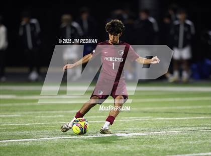 Thumbnail 3 in Plano West @ Princeton JV1 photogallery.