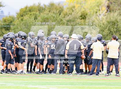 Thumbnail 3 in JV: Dublin @ Hayward photogallery.