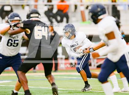 Thumbnail 1 in JV: Dublin @ Hayward photogallery.