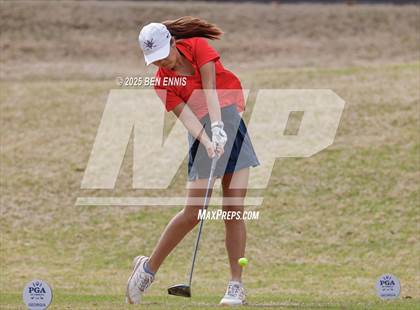 Thumbnail 2 in Esther Cannizzo Invitational (Round 1) photogallery.