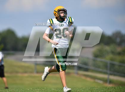 Thumbnail 3 in Gallatin @ Mount Juliet photogallery.