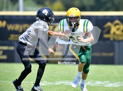 Thumbnail 2 in Gallatin @ Mount Juliet photogallery.