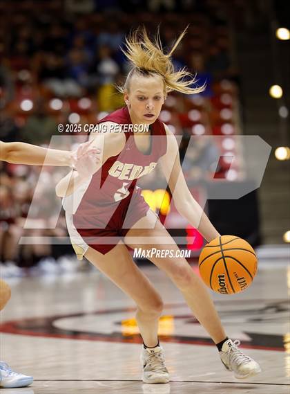 Thumbnail 1 in Cedar vs. Ridgeline (UHSAA 4A Quarterfinal) photogallery.