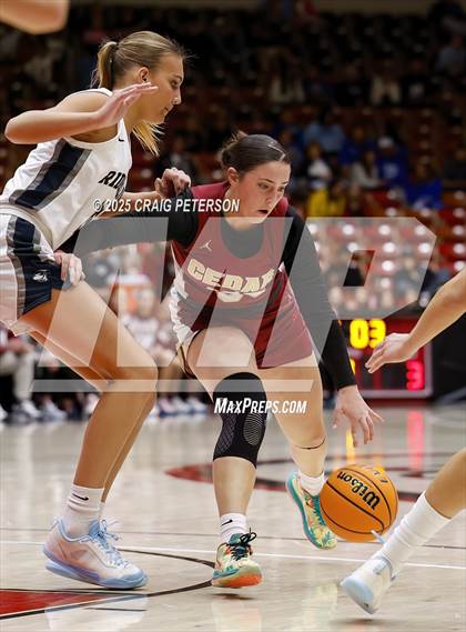 Thumbnail 1 in Cedar vs. Ridgeline (UHSAA 4A Quarterfinal) photogallery.