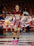 Photo from the gallery "Cedar vs. Ridgeline (UHSAA 4A Quarterfinal)"