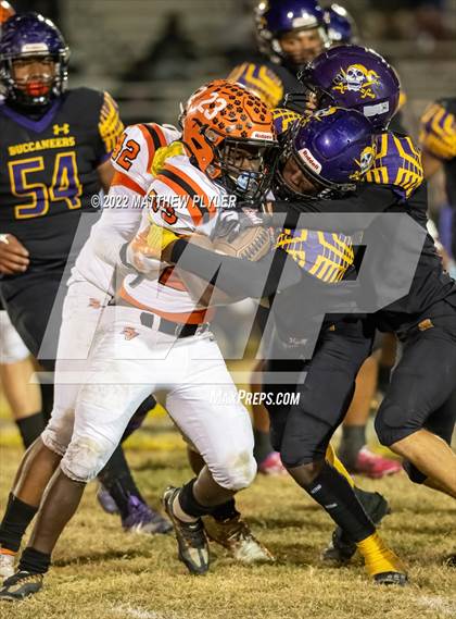 Thumbnail 1 in South View @ Jack Britt photogallery.