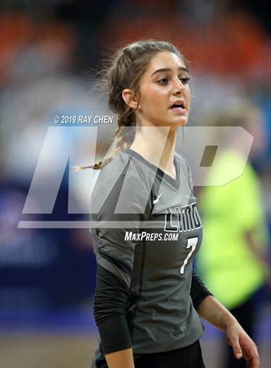 null - Photo 11