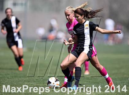 Thumbnail 2 in Rocky Mountain @ Arapahoe photogallery.