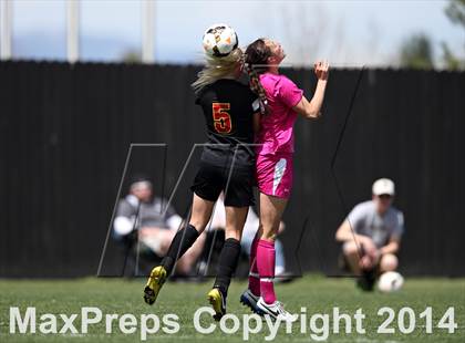 Thumbnail 2 in Rocky Mountain @ Arapahoe photogallery.
