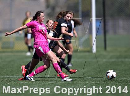 Thumbnail 2 in Rocky Mountain @ Arapahoe photogallery.