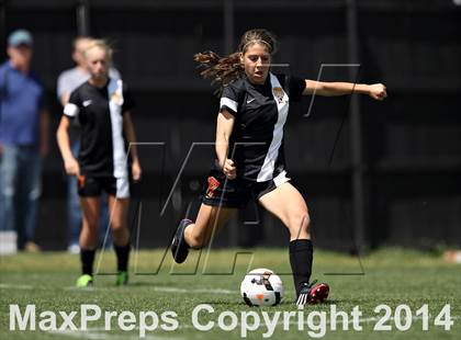 Thumbnail 1 in Rocky Mountain @ Arapahoe photogallery.