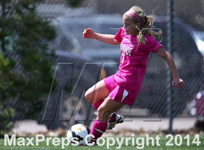 Thumbnail 2 in Rocky Mountain @ Arapahoe photogallery.