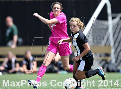 Thumbnail 3 in Rocky Mountain @ Arapahoe photogallery.