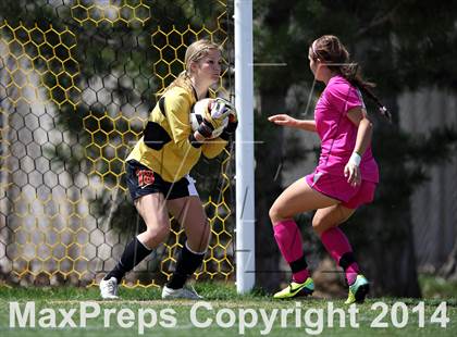 Thumbnail 1 in Rocky Mountain @ Arapahoe photogallery.