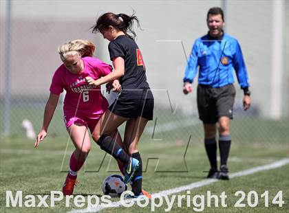 Thumbnail 1 in Rocky Mountain @ Arapahoe photogallery.