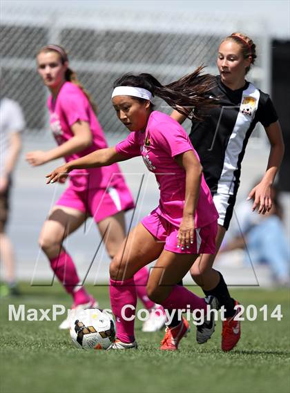 Thumbnail 1 in Rocky Mountain @ Arapahoe photogallery.