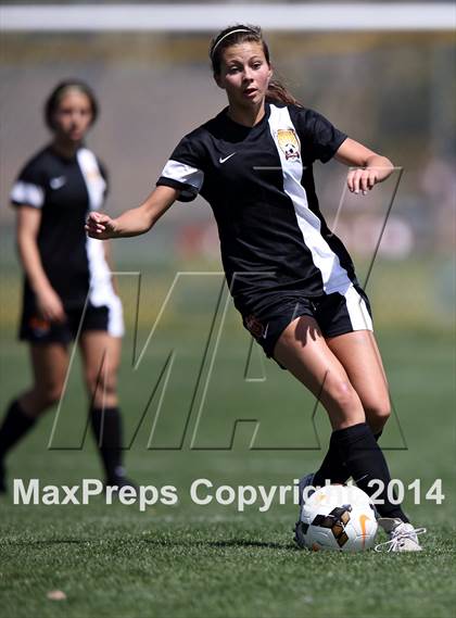 Thumbnail 3 in Rocky Mountain @ Arapahoe photogallery.