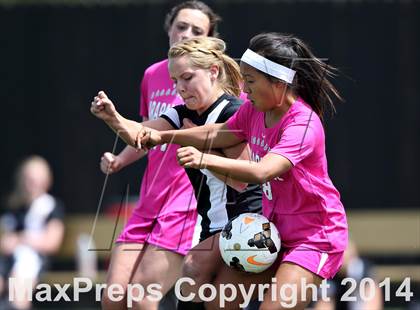 Thumbnail 1 in Rocky Mountain @ Arapahoe photogallery.