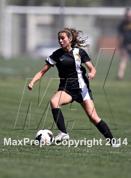 Thumbnail 2 in Rocky Mountain @ Arapahoe photogallery.