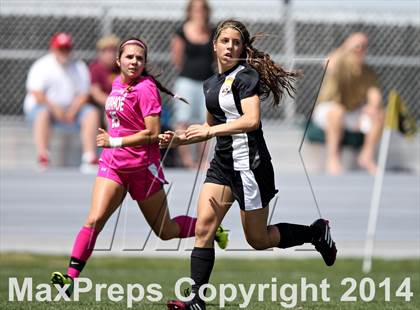 Thumbnail 2 in Rocky Mountain @ Arapahoe photogallery.