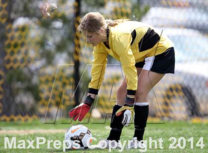 Thumbnail 1 in Rocky Mountain @ Arapahoe photogallery.