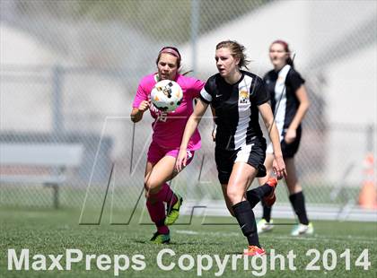 Thumbnail 3 in Rocky Mountain @ Arapahoe photogallery.