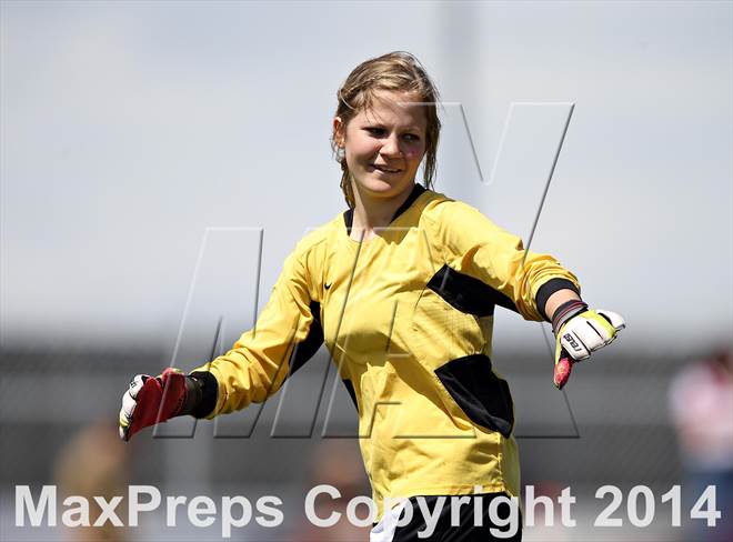 null - Photo 11