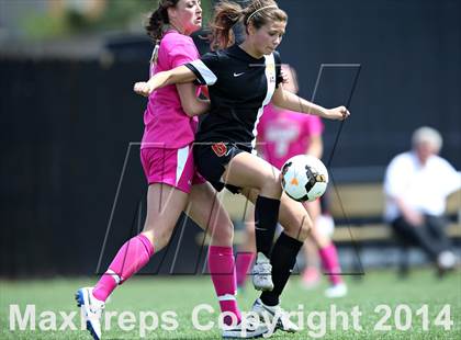 Thumbnail 2 in Rocky Mountain @ Arapahoe photogallery.