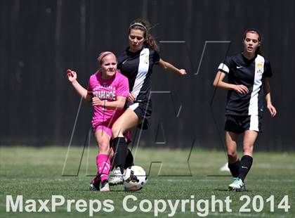 Thumbnail 2 in Rocky Mountain @ Arapahoe photogallery.
