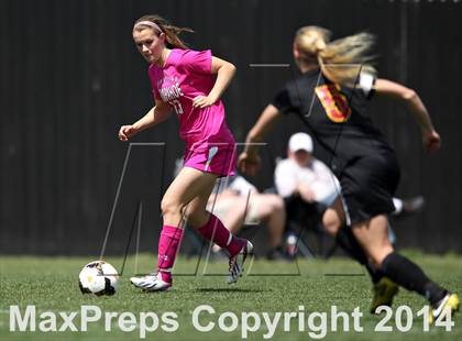 Thumbnail 1 in Rocky Mountain @ Arapahoe photogallery.