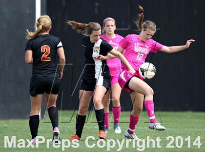 Thumbnail 1 in Rocky Mountain @ Arapahoe photogallery.
