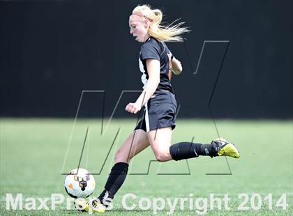 Thumbnail 3 in Rocky Mountain @ Arapahoe photogallery.