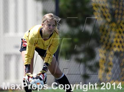 Thumbnail 1 in Rocky Mountain @ Arapahoe photogallery.