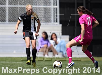 Thumbnail 3 in Rocky Mountain @ Arapahoe photogallery.