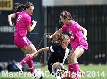 Thumbnail 3 in Rocky Mountain @ Arapahoe photogallery.