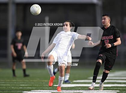 Thumbnail 1 in Lindbergh @ Sammamish photogallery.