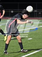 Photo from the gallery "Lindbergh @ Sammamish"